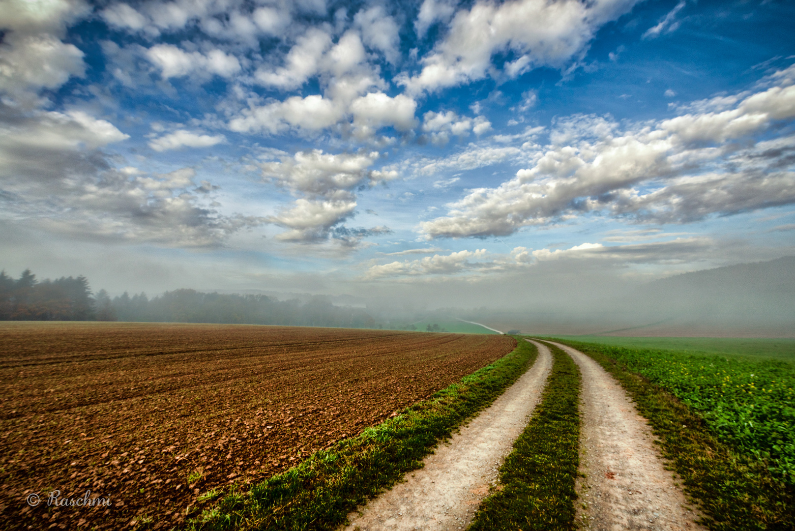 DER WEG ZUM HORIZONT