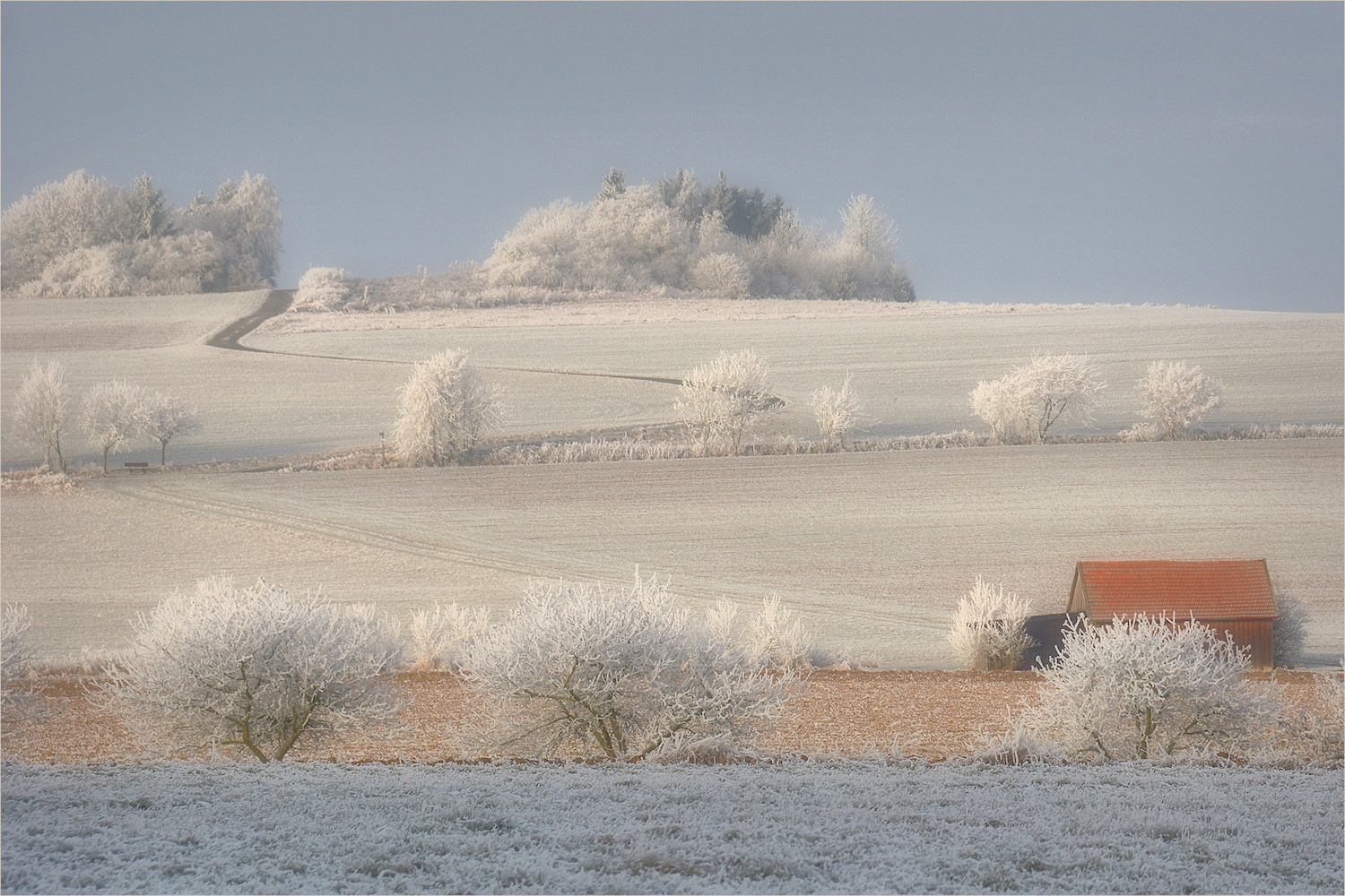 der Weg zum Horizont...