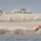 der Weg zum Horizont...