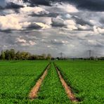 Der Weg zum Horizont HDR