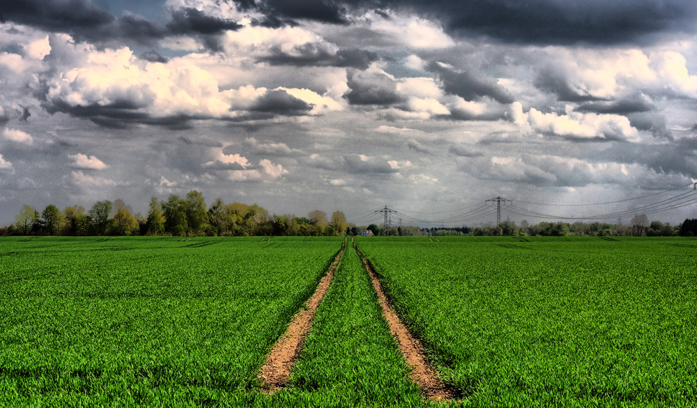 Der Weg zum Horizont HDR