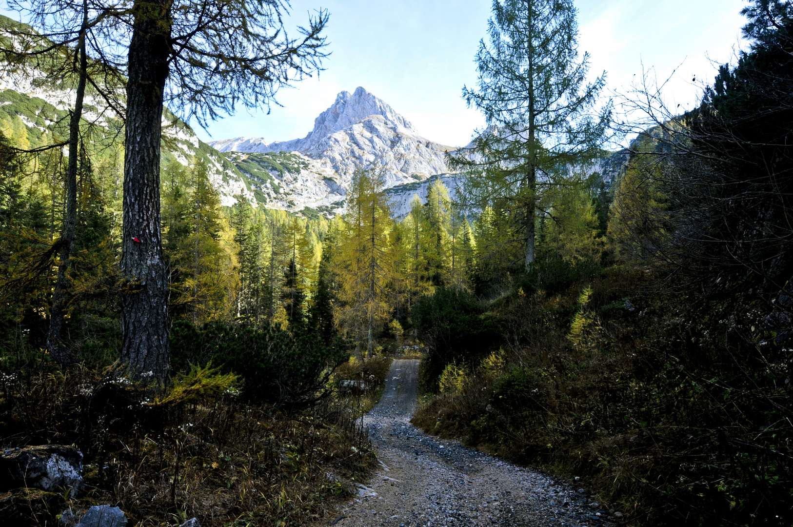 Der Weg zum Ingolstätter Haus