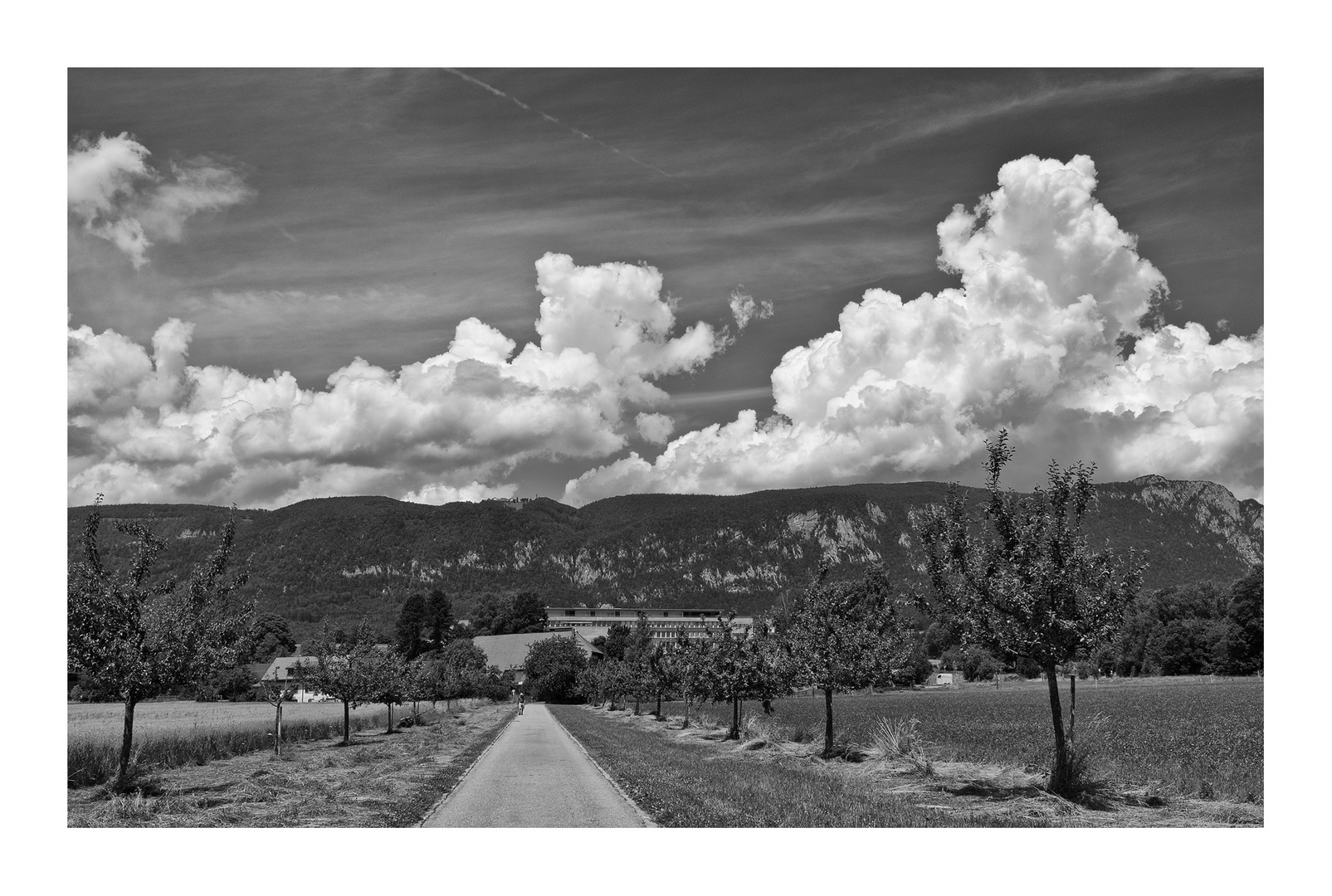 Der Weg zum Jura