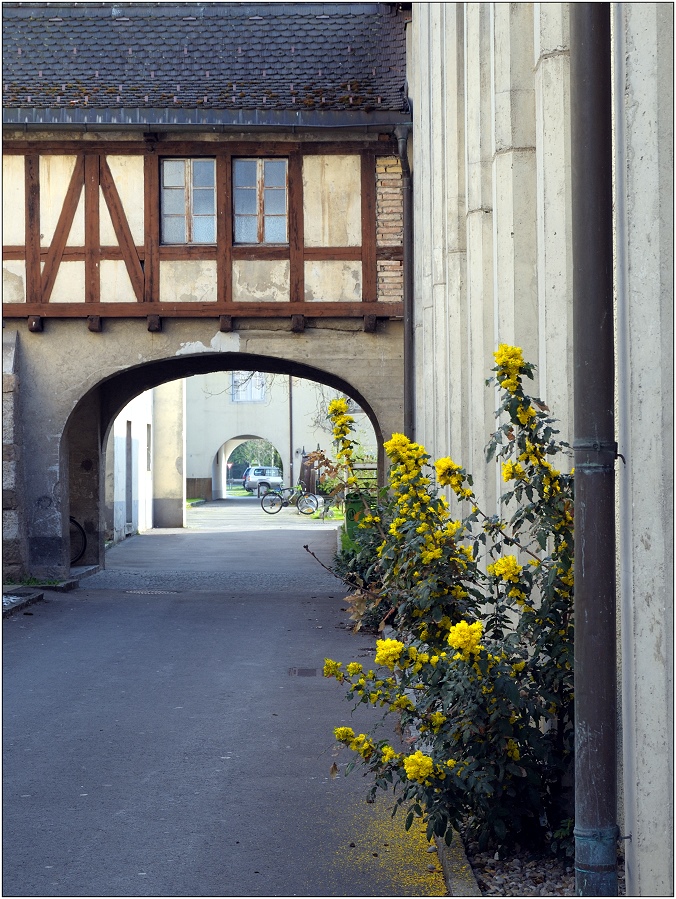 ... der Weg zum Klosterkeller ...