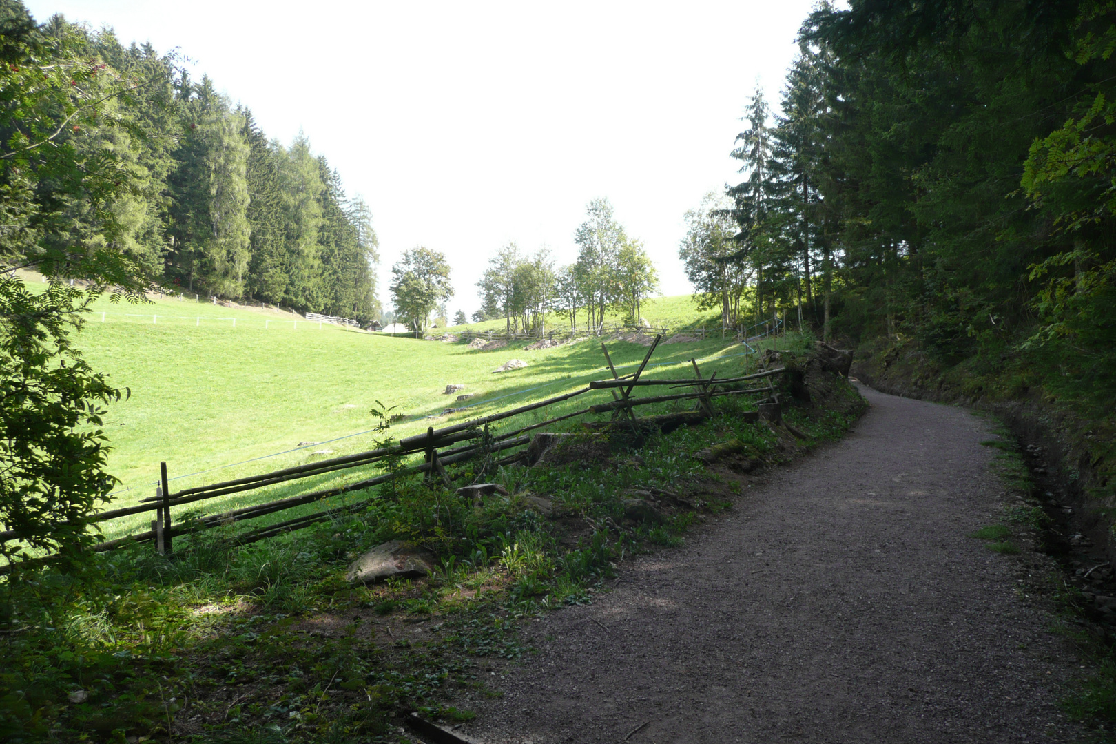 Der Weg zum Knottn-Kino