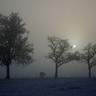 der Weg zum Kreuz