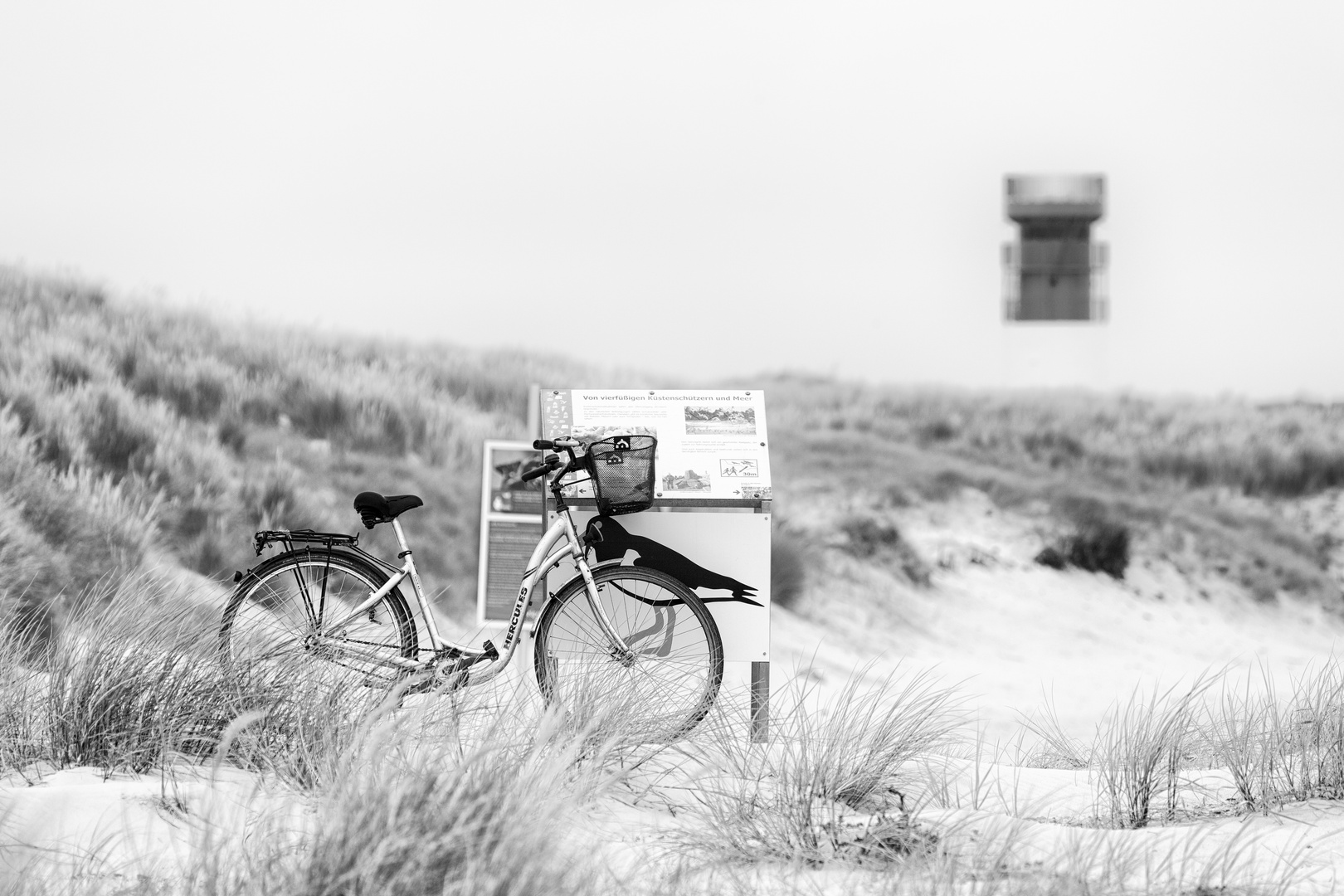 Der Weg zum Leuchtturm...