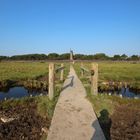 Der Weg zum Leuchtturm