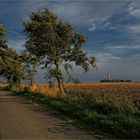 Der Weg zum Leuchtturm