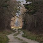 der weg zum licht...