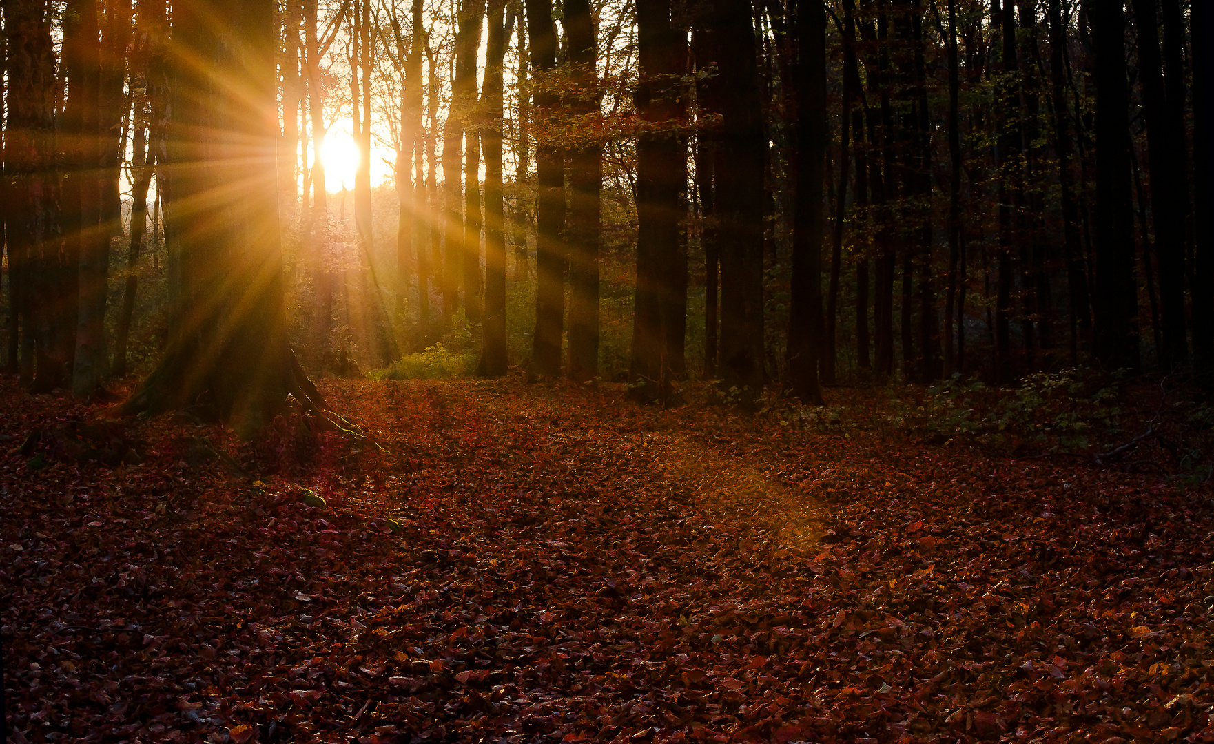 der Weg zum Licht