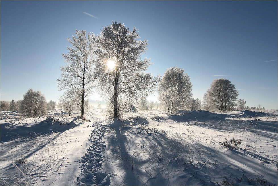 ~ Der Weg zum Licht ~