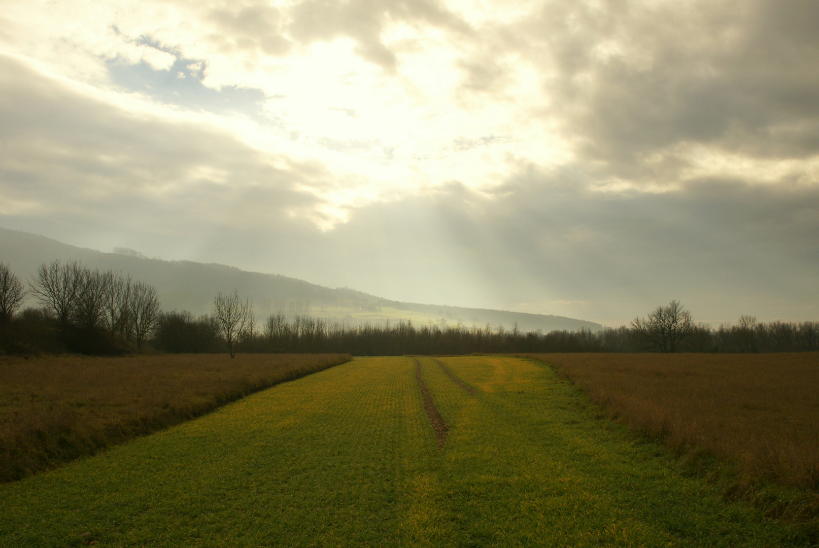 Der Weg zum Licht... ;)