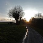 der Weg zum Licht