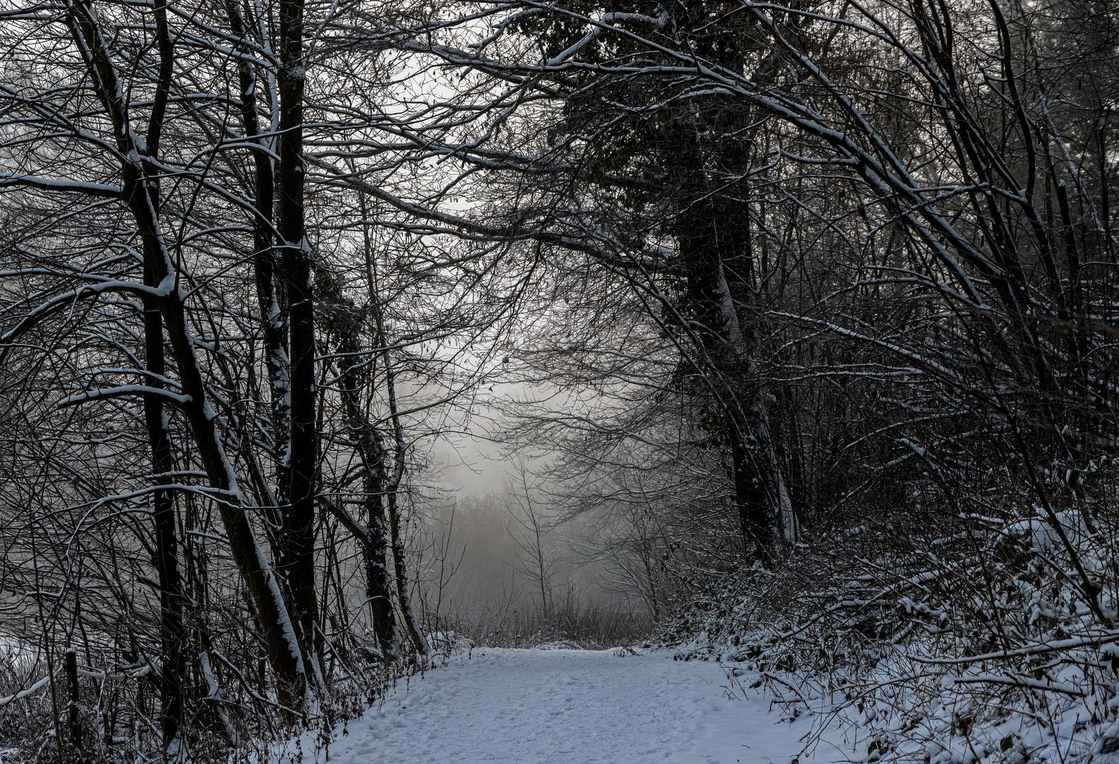 Der Weg zum Licht