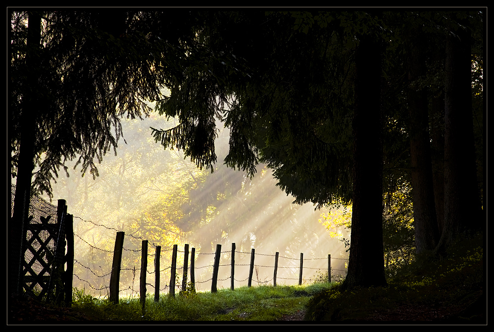 Der Weg zum Licht