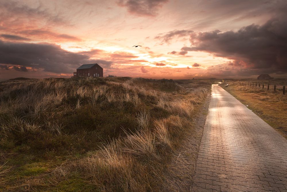 Der Weg zum Licht