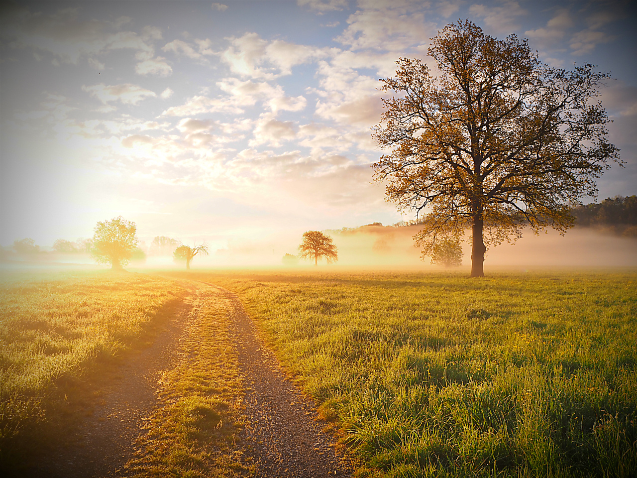 der Weg zum Licht