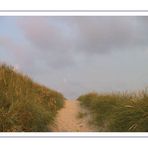 Der Weg zum Meer . . . . .