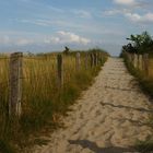 Der Weg zum Meer