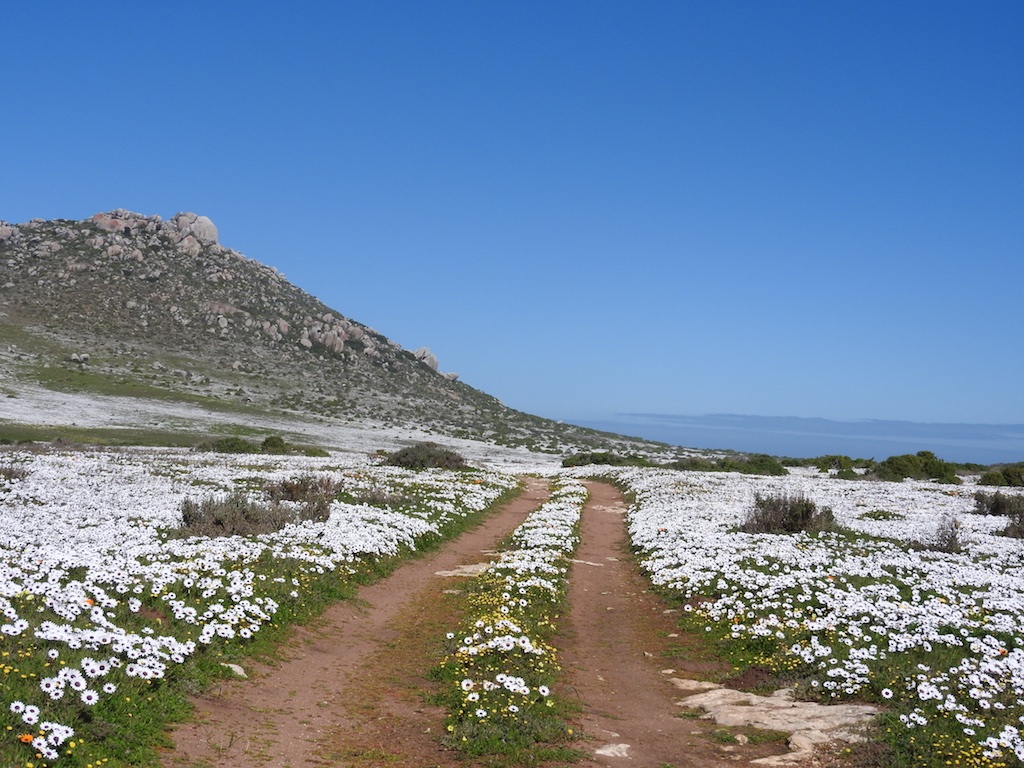 Der Weg zum Meer