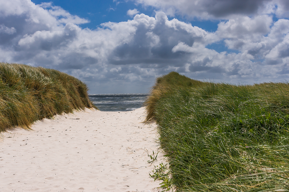 Der Weg zum Meer