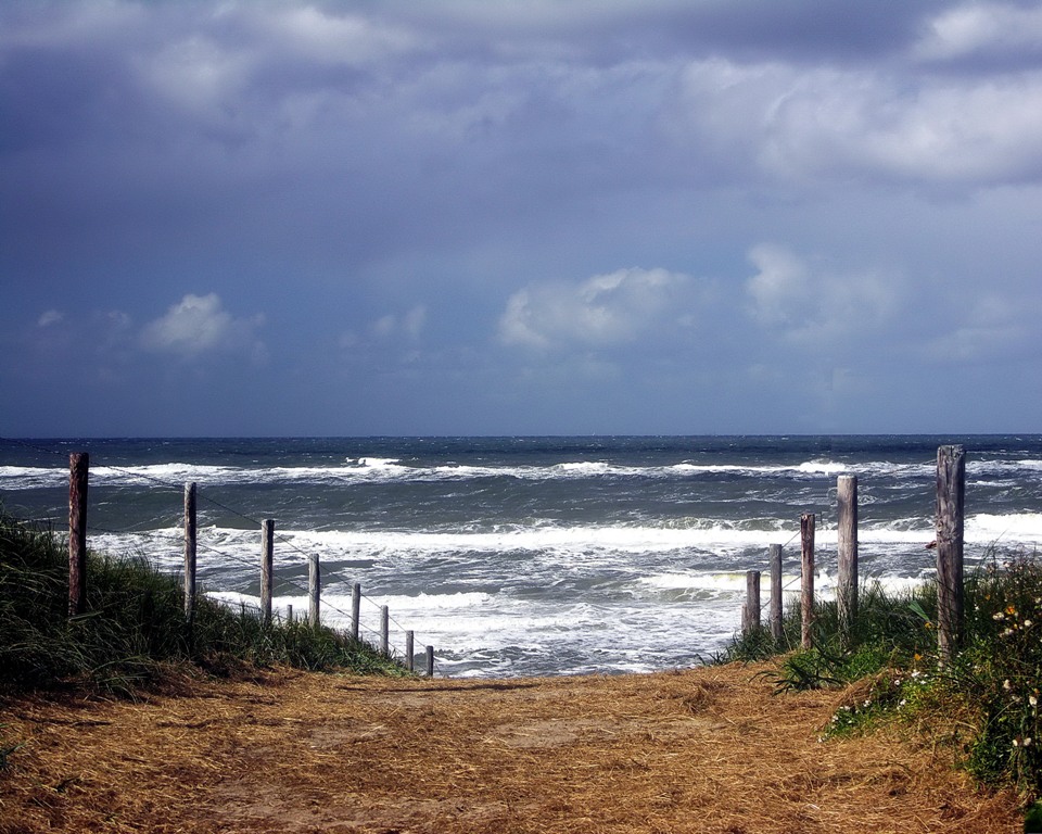 Der Weg zum Meer