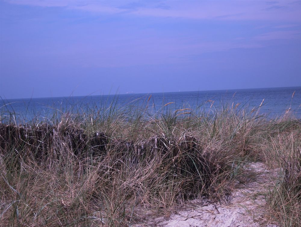 Der Weg zum Meer von Steffis Fotokiste