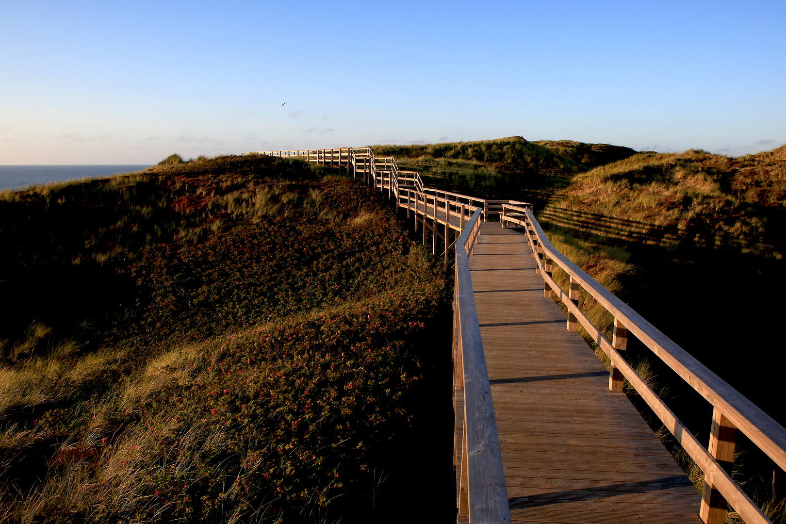 Der Weg zum Meer