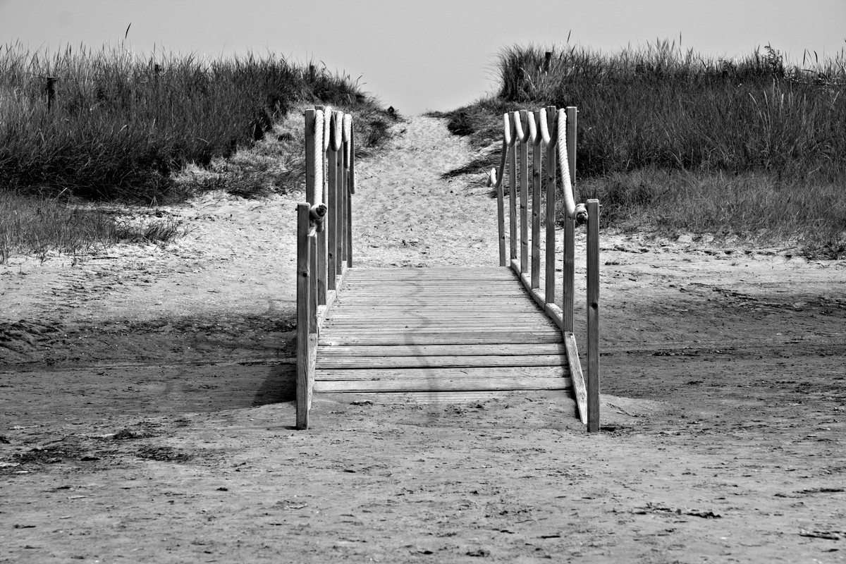 Der Weg zum Meer