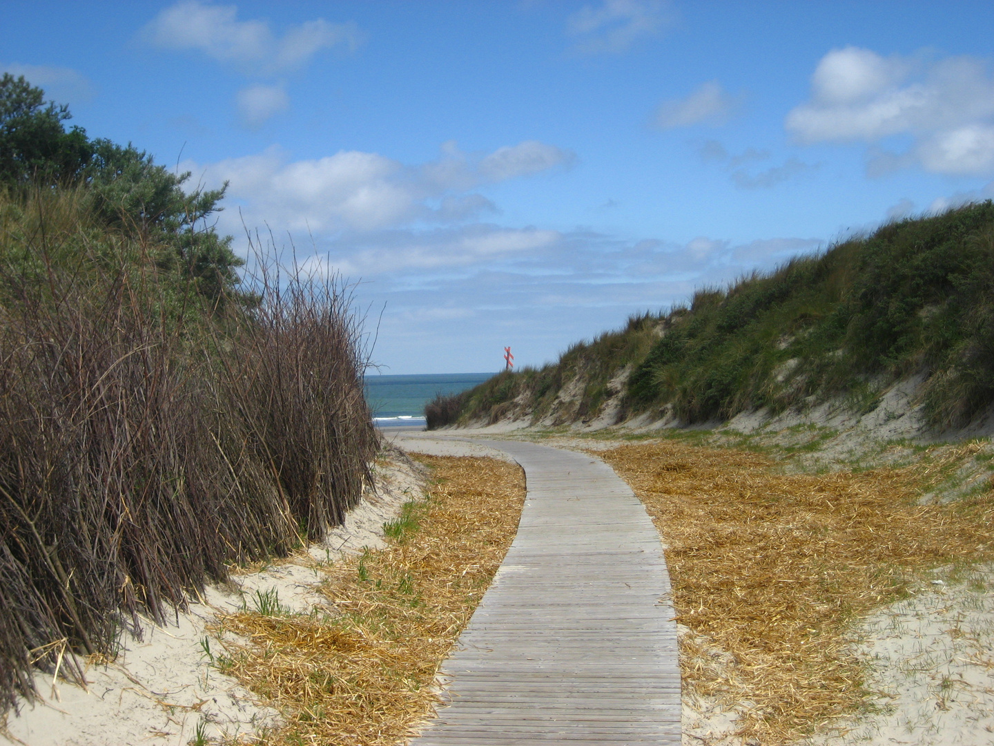 Der Weg zum Meer