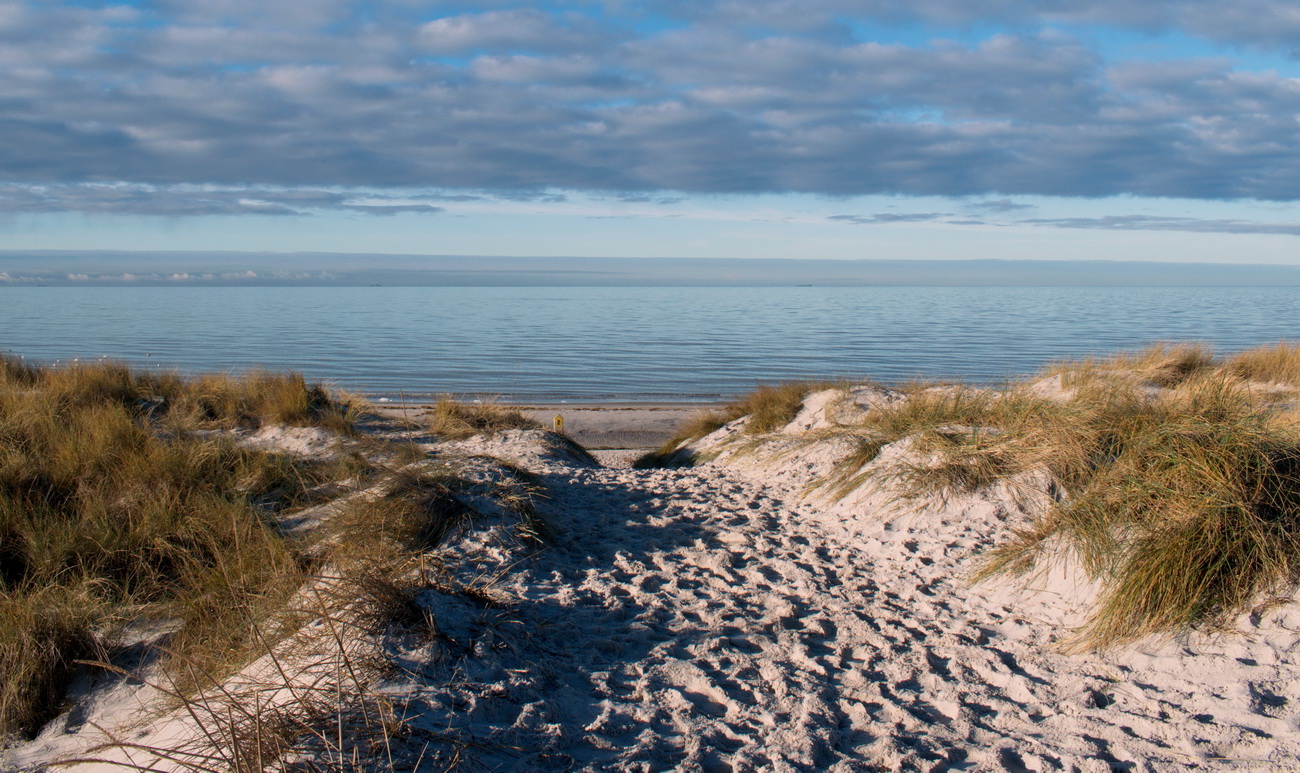 der Weg zum Meer