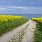 Der Weg zum Meer