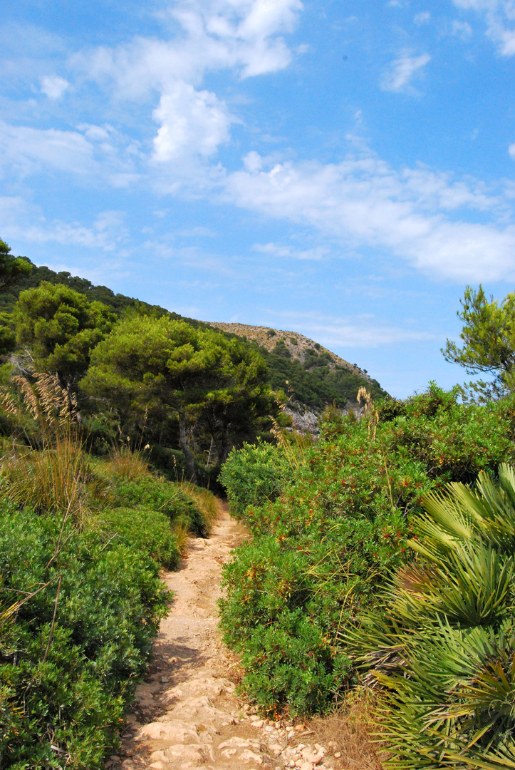 Der Weg zum Meer