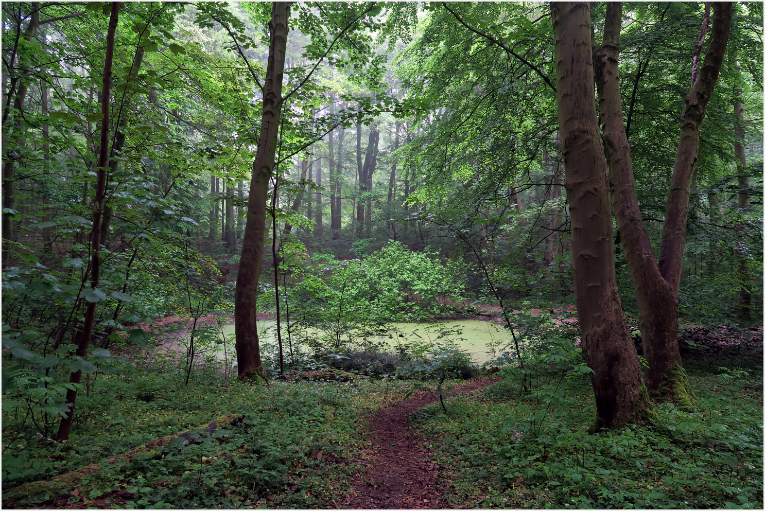 Der Weg zum Mondspiegel