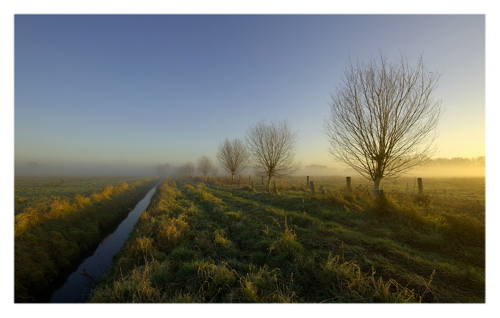 Der Weg zum Nebel