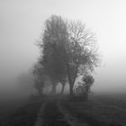 Der Weg zum Nebel