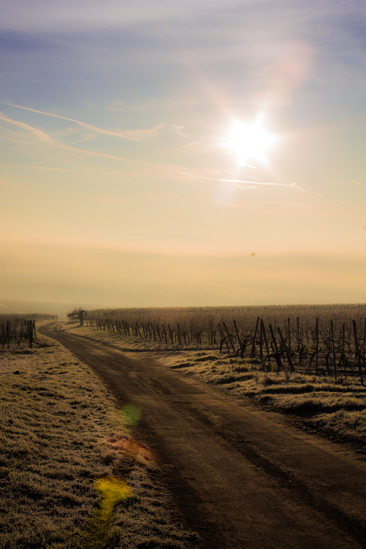 Der Weg Zum Nebelberg