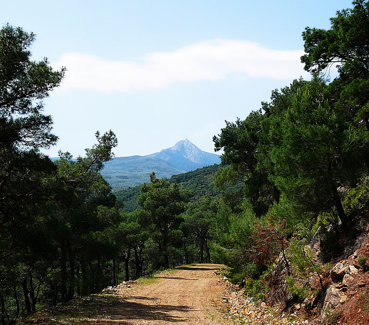 Der Weg zum Olymp