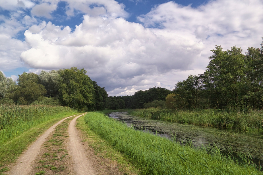 Der Weg zum Park