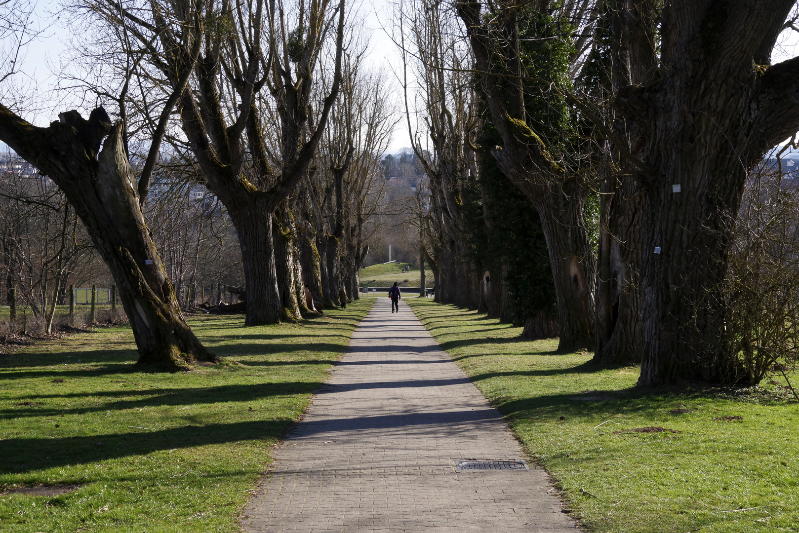 ...der Weg zum Park