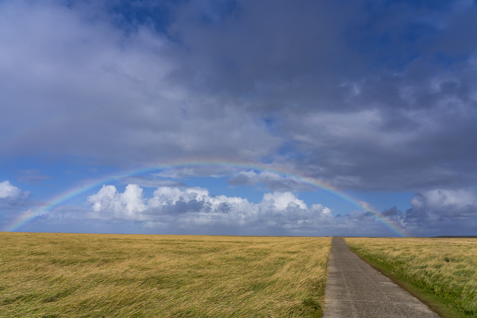 Der Weg zum Regenbogen