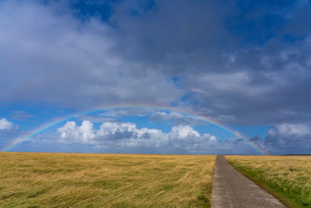 Der Weg zum Regenbogen