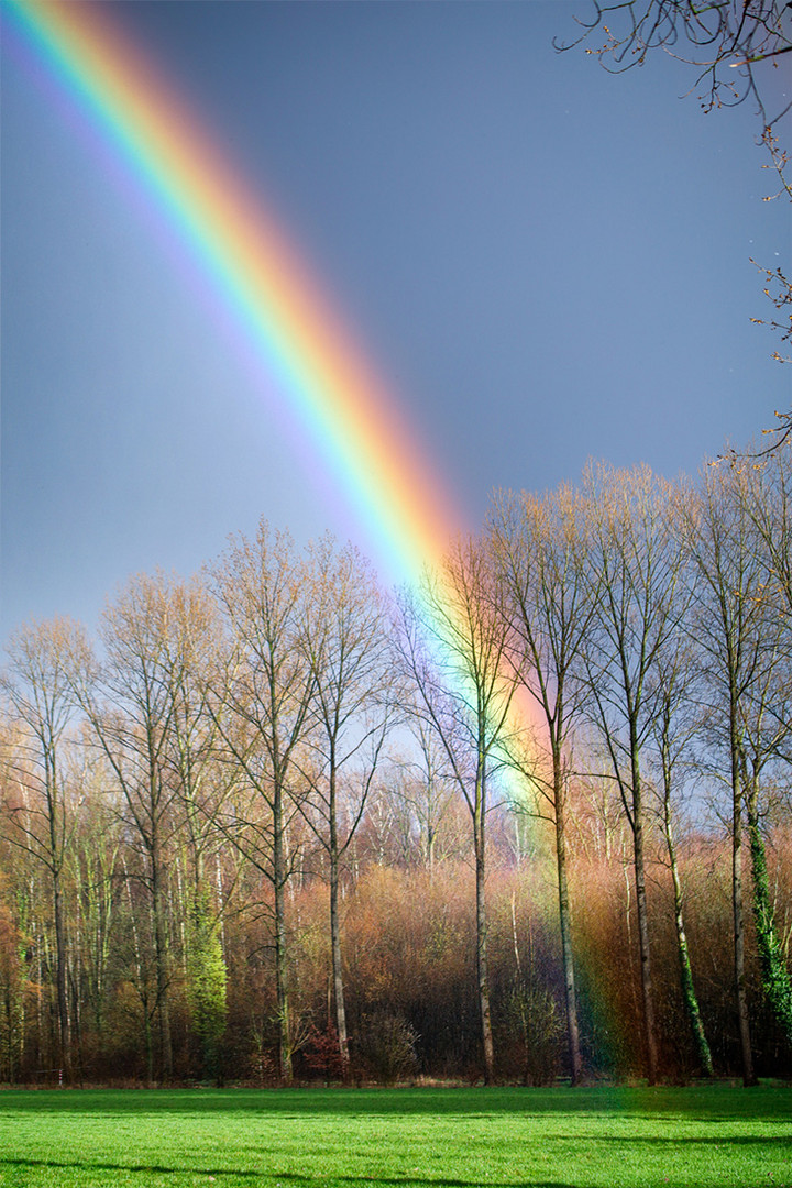 Der Weg zum Regenbogen