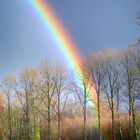 Der Weg zum Regenbogen