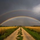 Der Weg zum Regenbogen