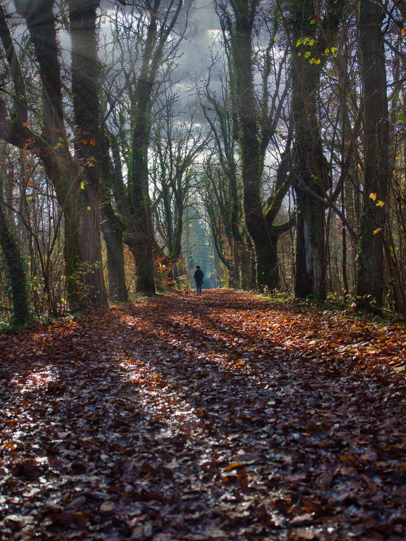 Der Weg zum Schloß