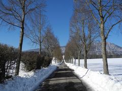 Der Weg zum Schloss