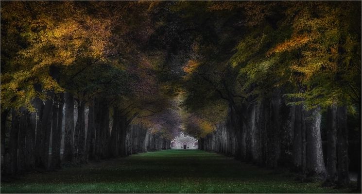 der Weg zum Schloss ...