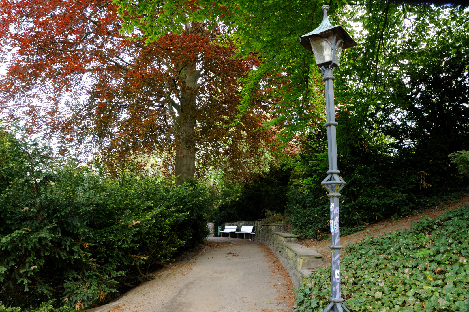 Der Weg zum Schloss